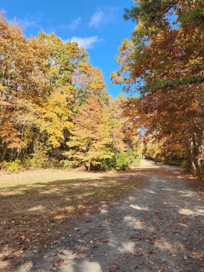 Manasquan Reservoir - Howell Township, NJ