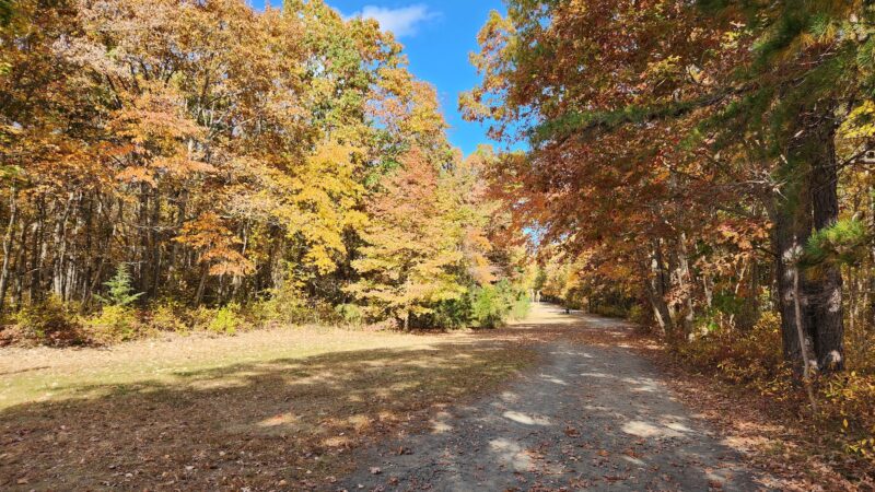 Manasquan Reservoir - Howell Township, NJ