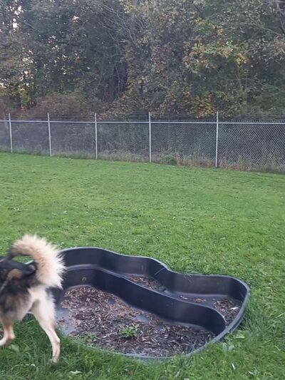 Hubbard's Scentral Dog Park - Hubbard, OH