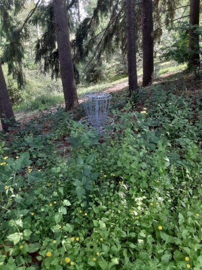 Jan LaFollette DGC, Dog Park and Disc Golf - Hubbard, OR