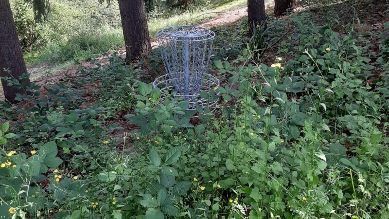 Jan LaFollette DGC, Dog Park and Disc Golf - Hubbard, OR