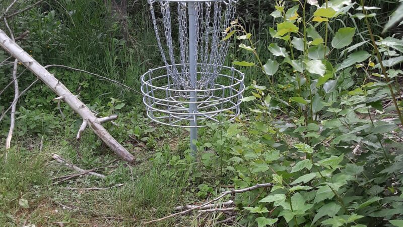 Jan LaFollette DGC, Dog Park and Disc Golf - Hubbard, OR