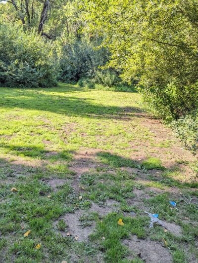 Jan LaFollette DGC, Dog Park and Disc Golf - Hubbard, OR