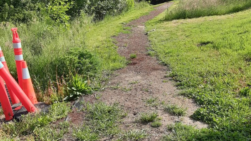Jan LaFollette DGC, Dog Park and Disc Golf - Hubbard, OR