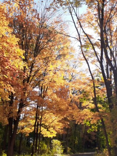 Murray Park - Hudson Falls, NY