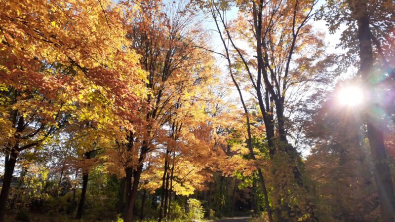 Murray Park - Hudson Falls, NY