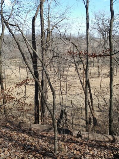 Shady Hollow Nature Area Parking - Hudson, IL