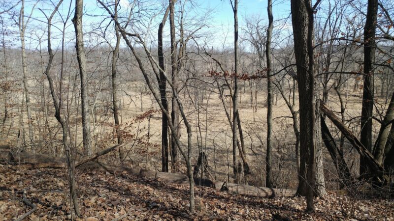 Shady Hollow Nature Area Parking - Hudson, IL