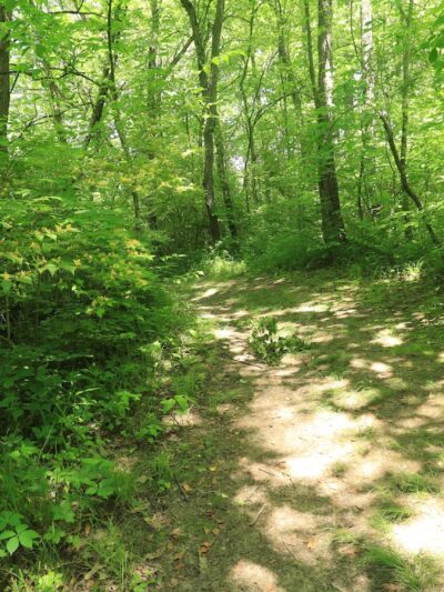 Shady Hollow Nature Area Parking - Hudson, IL