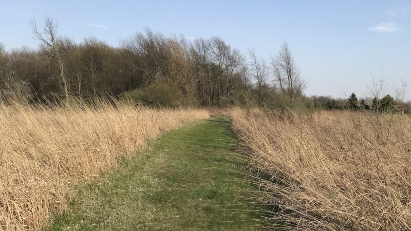 Shady Hollow Nature Area Parking - Hudson, IL