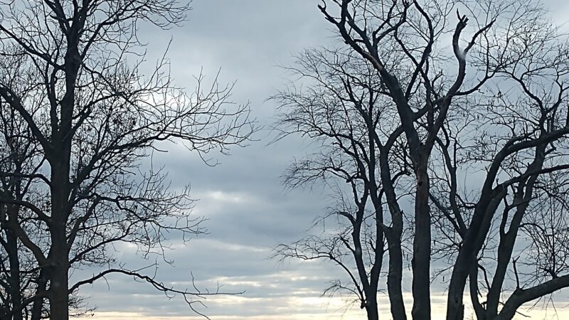 Lake Bloomington Park - Hudson, IL