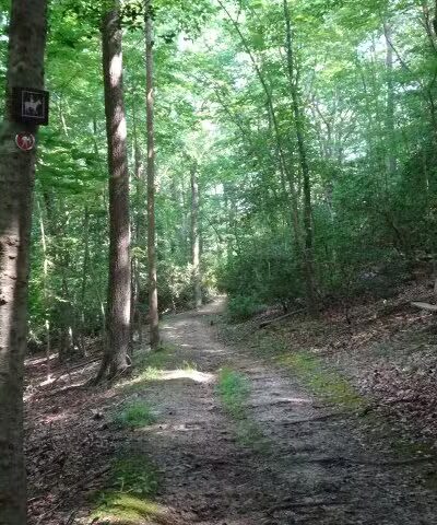 Maxwell Hall Park - Hughesville, MD