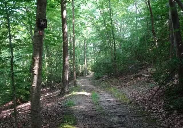Maxwell Hall Park - Hughesville, MD