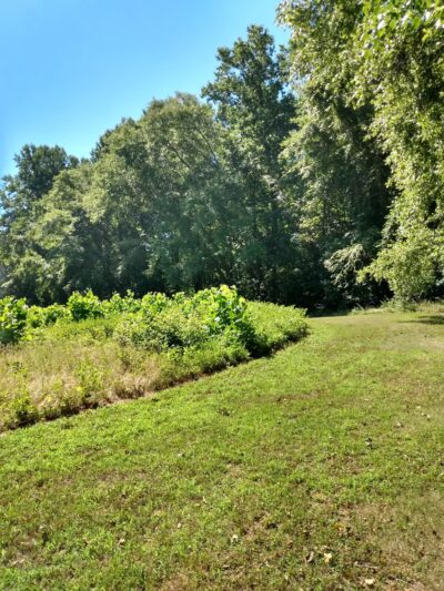 Maxwell Hall Park - Hughesville, MD