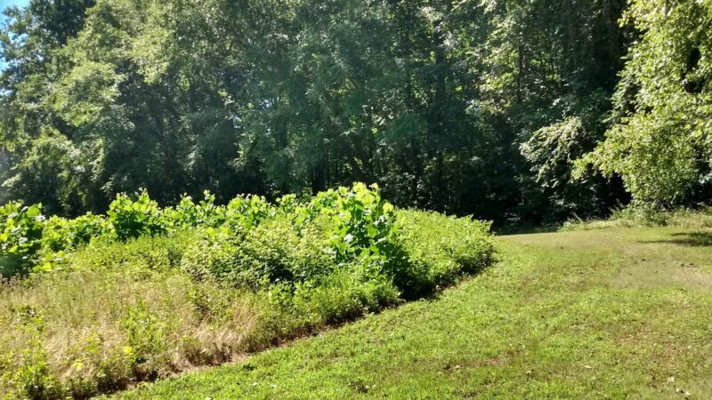 Maxwell Hall Park - Hughesville, MD
