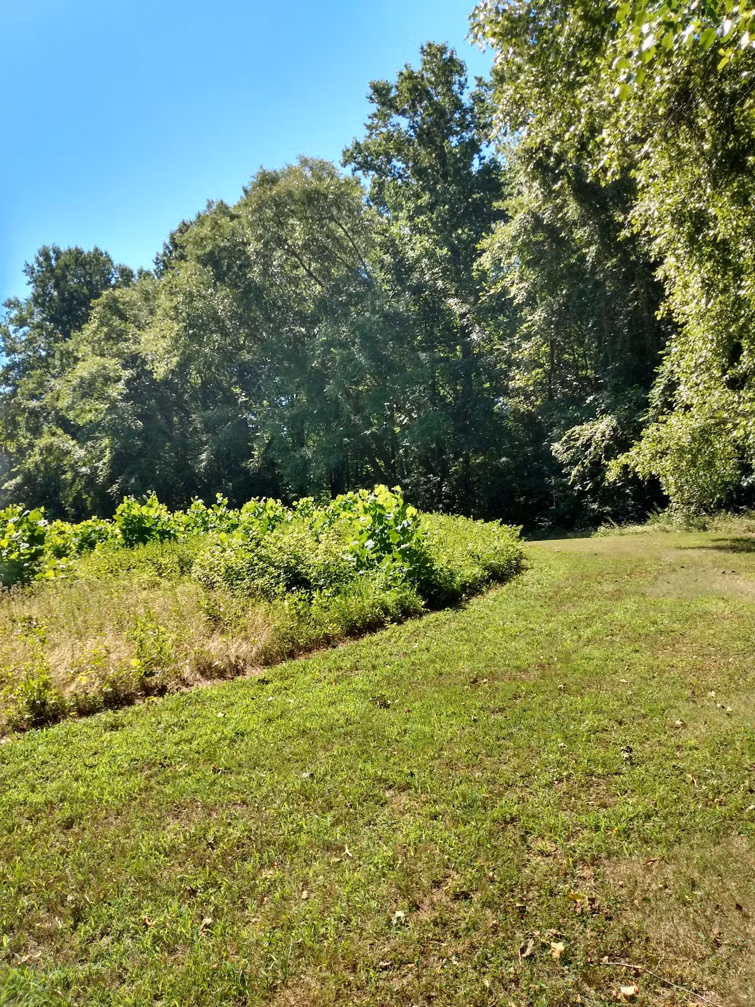 Maxwell Hall Park - Hughesville, MD