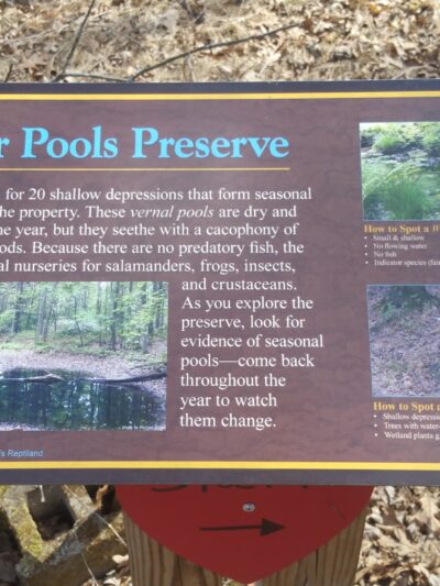 Glacier Pools Preserve - Hughesville, PA