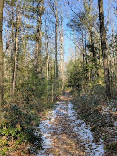 Glacier Pools Preserve - Hughesville, PA