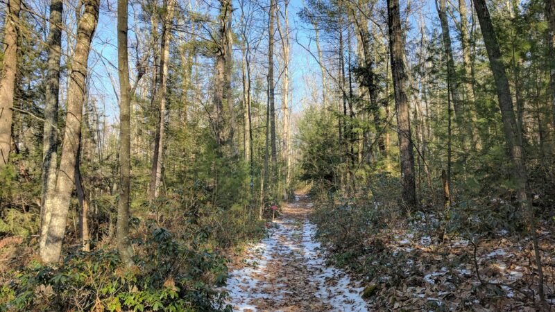 Glacier Pools Preserve - Hughesville, PA