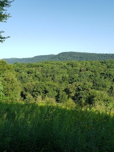 Glacier Pools Preserve - Hughesville, PA