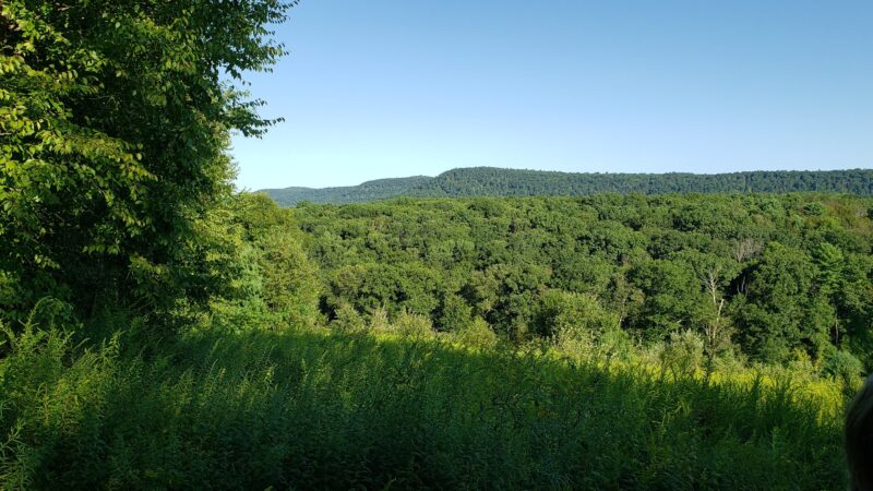 Glacier Pools Preserve - Hughesville, PA