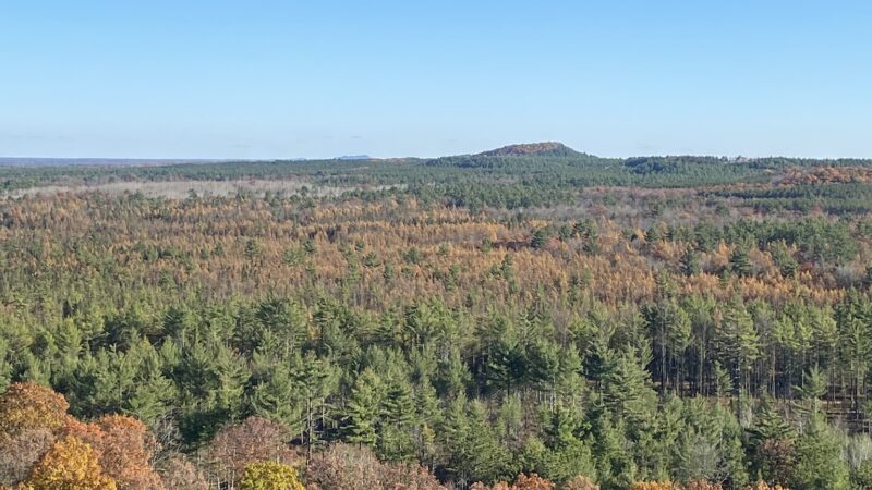 Clark County Wildcat Park - Humbird, WI