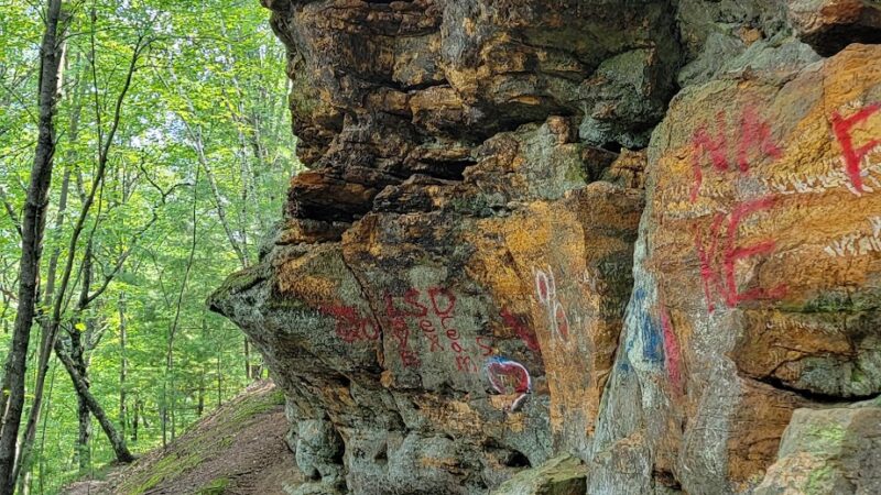 Clark County Wildcat Park - Humbird, WI