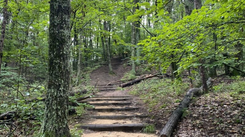 Clark County Wildcat Park - Humbird, WI