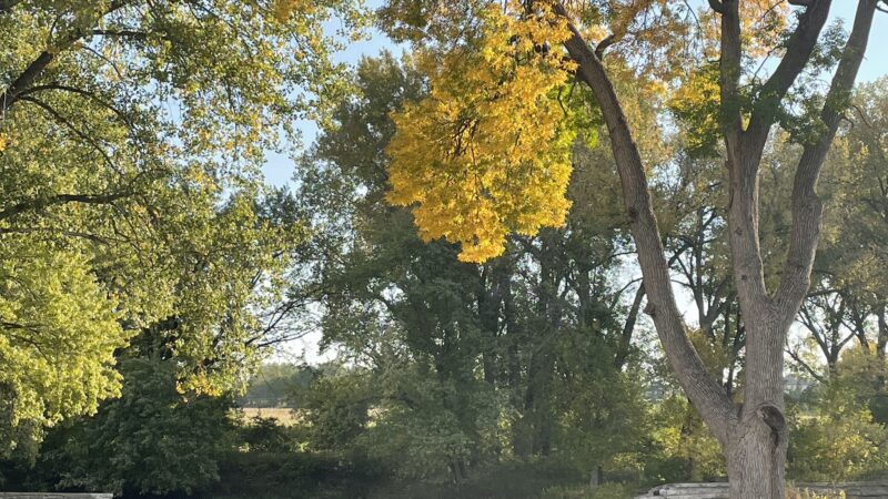 Dakota City Memorial Park & Campground - Humboldt, IA