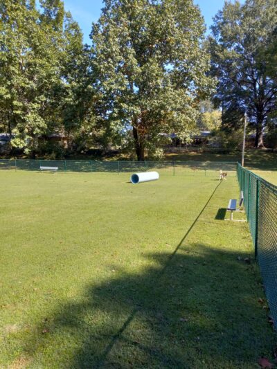 Humboldt Dog Park - Humboldt, TN