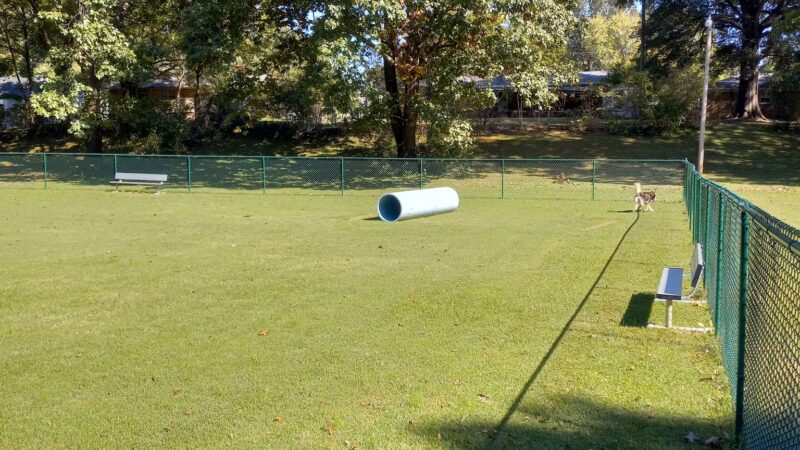 Humboldt Dog Park - Humboldt, TN