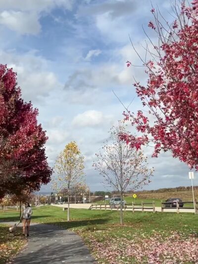 Bullfrog Valley Park - Hummelstown, PA