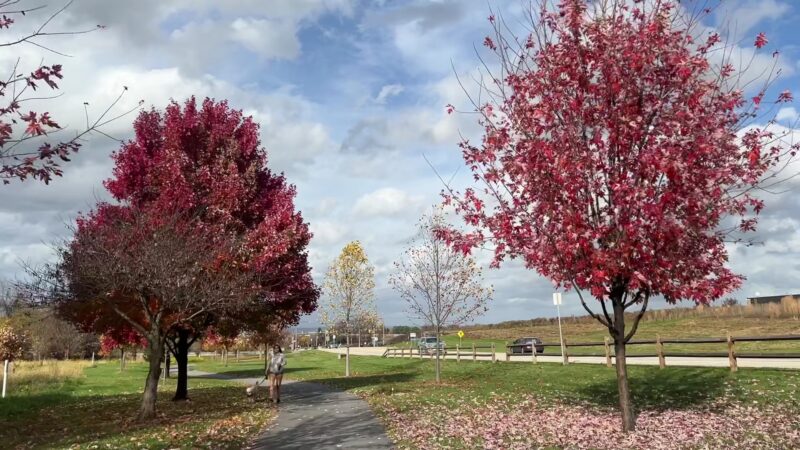 Bullfrog Valley Park - Hummelstown, PA