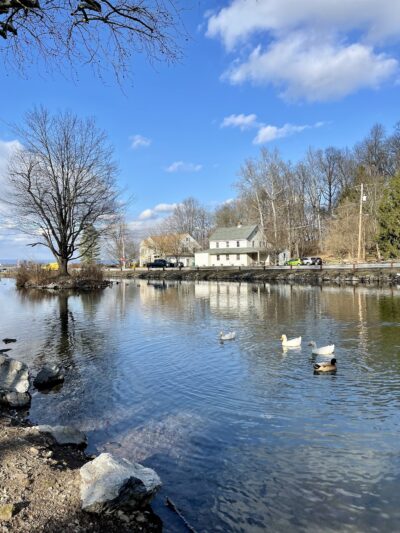 Bullfrog Valley Park - Hummelstown, PA