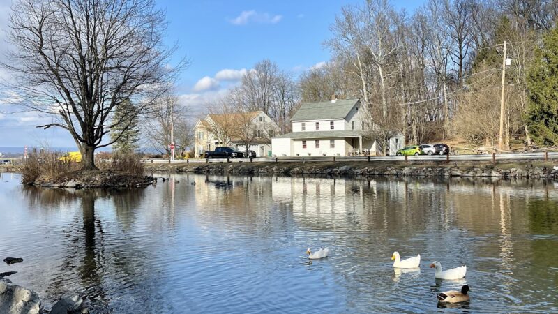 Bullfrog Valley Park - Hummelstown, PA