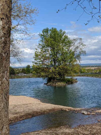 Bullfrog Valley Park - Hummelstown, PA