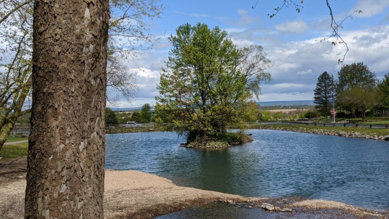Bullfrog Valley Park - Hummelstown, PA
