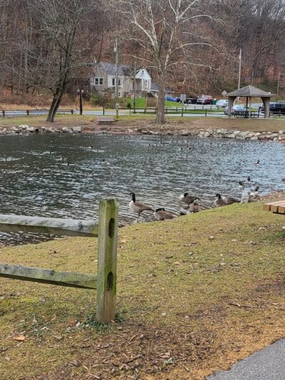Jonathan Eshenour Memorial Trail - Hummelstown, PA