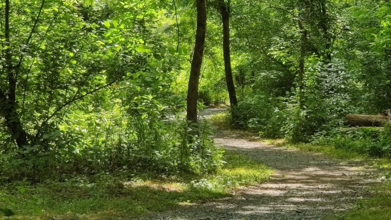 SUEZ Nature Trail - Hummelstown, PA