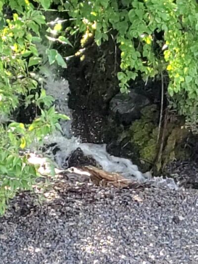 Hungry Horse/Glacier View/Spotted Bear Ranger Stations - Hungry Horse, MT