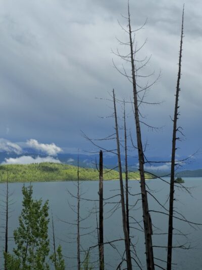 Hungry Horse/Glacier View/Spotted Bear Ranger Stations - Hungry Horse, MT