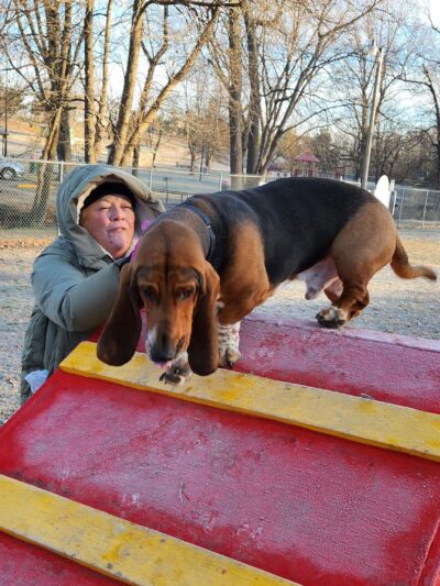 City of Huntingburg Park & Recreation - Huntingburg, IN
