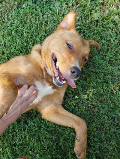 City of Huntingburg Park & Recreation - Huntingburg, IN