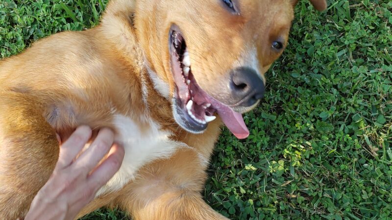 City of Huntingburg Park & Recreation - Huntingburg, IN