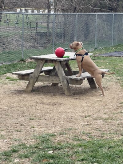 City of Huntingburg Park & Recreation - Huntingburg, IN