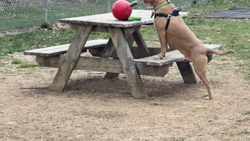 City of Huntingburg Park & Recreation - Huntingburg, IN