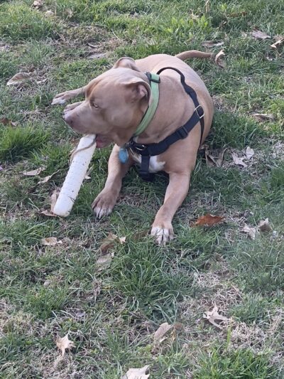 City of Huntingburg Park & Recreation - Huntingburg, IN