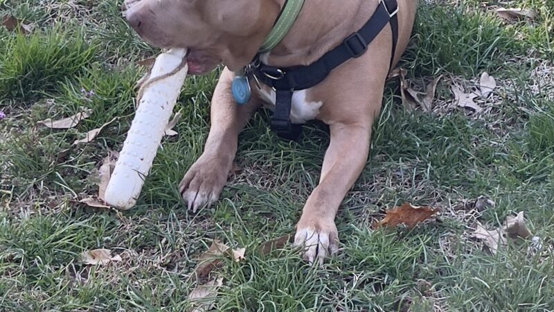 City of Huntingburg Park & Recreation - Huntingburg, IN