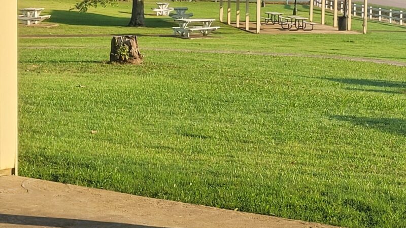Sesquicentennial Park - Huntingdon, TN