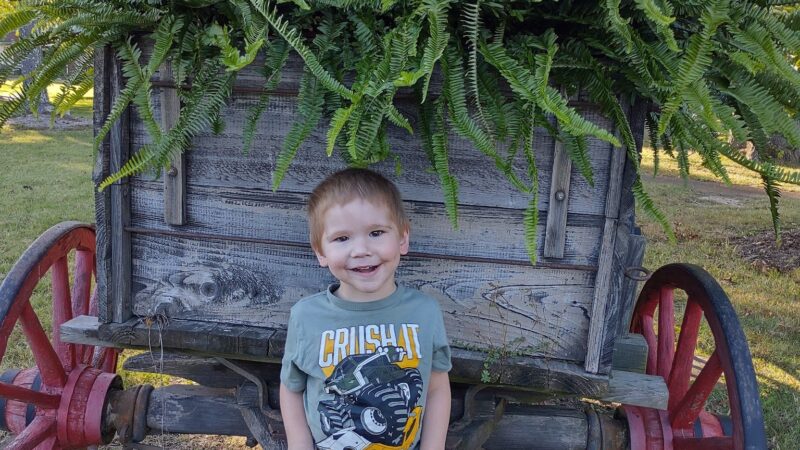 Thomas Park - Huntingdon, TN